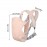 Слинг Рюкзак-кенгуру Baby Carriers Розовый - 4 положения ношения для младенцев 3-24 месяца Слинг Рюкзак-кенгуру Baby Carriers Розовый - 4 положения ношения для младенцев 3-24 месяца
